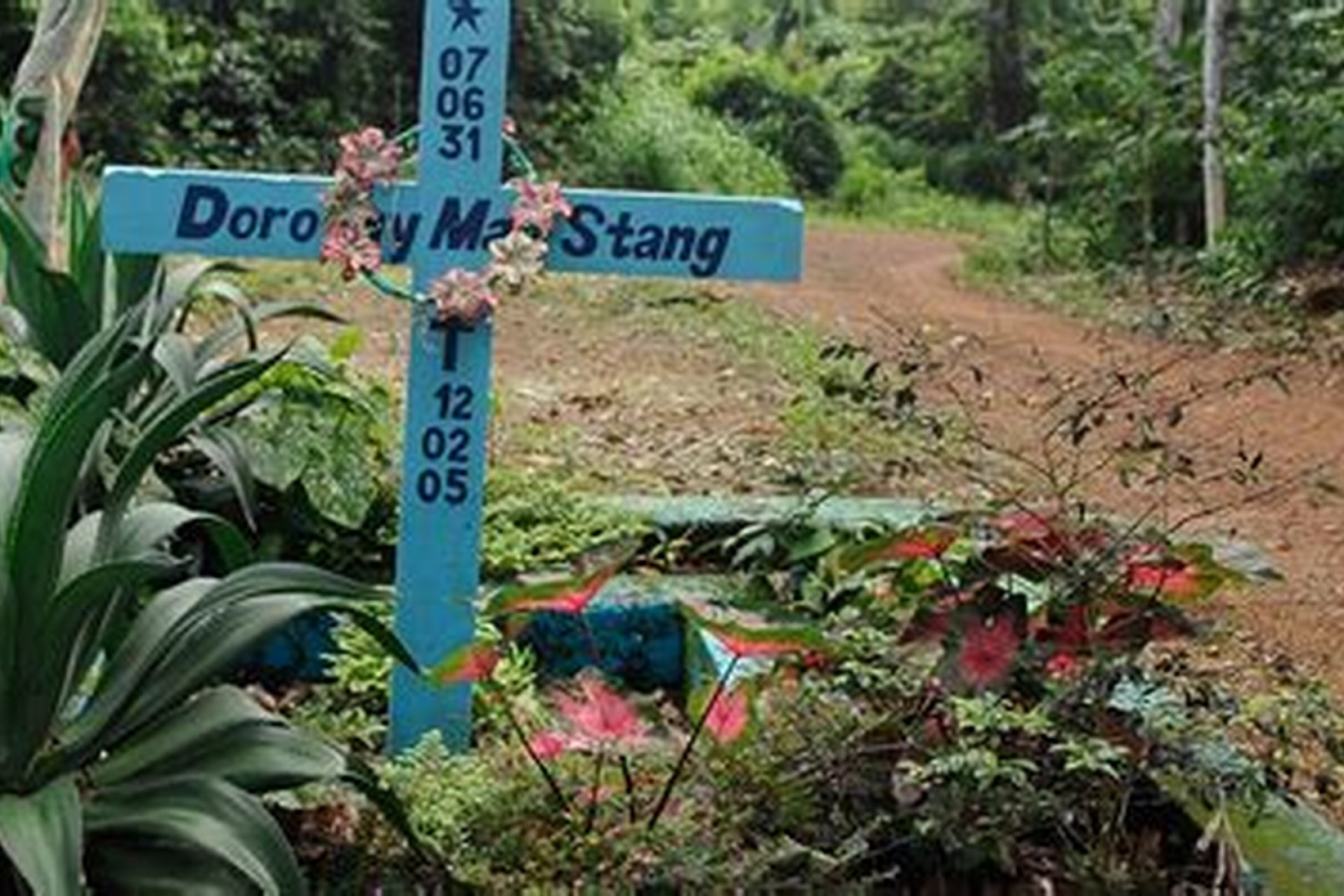Assassinato de Dorothy Stang (2005)