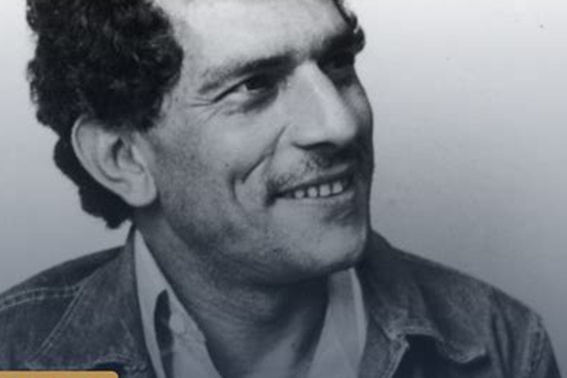 Chico Picadinho